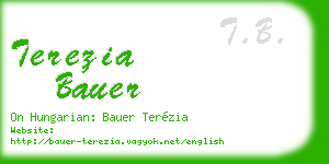 terezia bauer business card